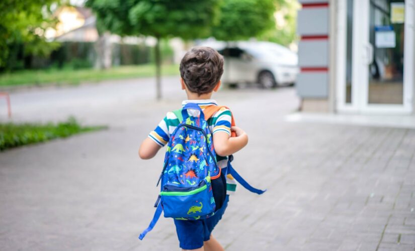 Assurance scolaire obligatoire ou facultative : le guide 2026